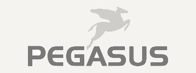 pegasus-bikes.de