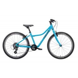 Naloo Chameleon 24"