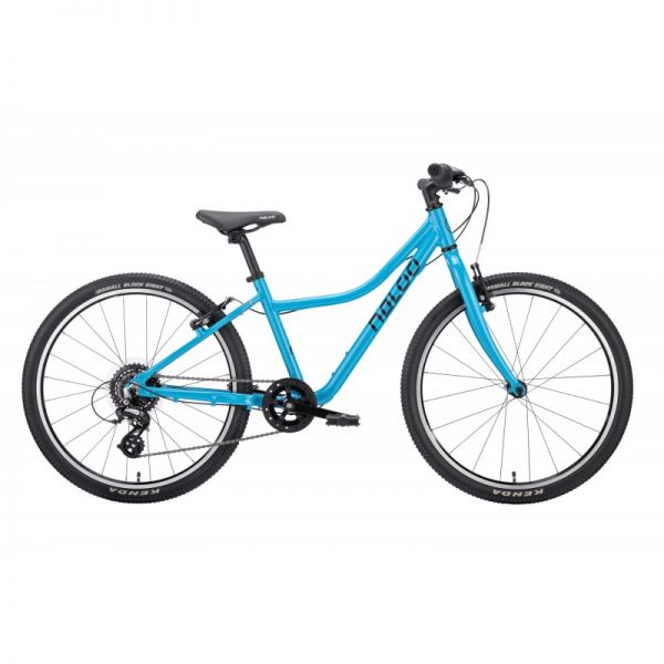 Naloo Chameleon 24" (inkl. Ständer)